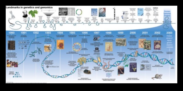 Molecular Marvels: Δημιουργώντας το μέλλον με καινοτομίες στη βιοτεχνολογία