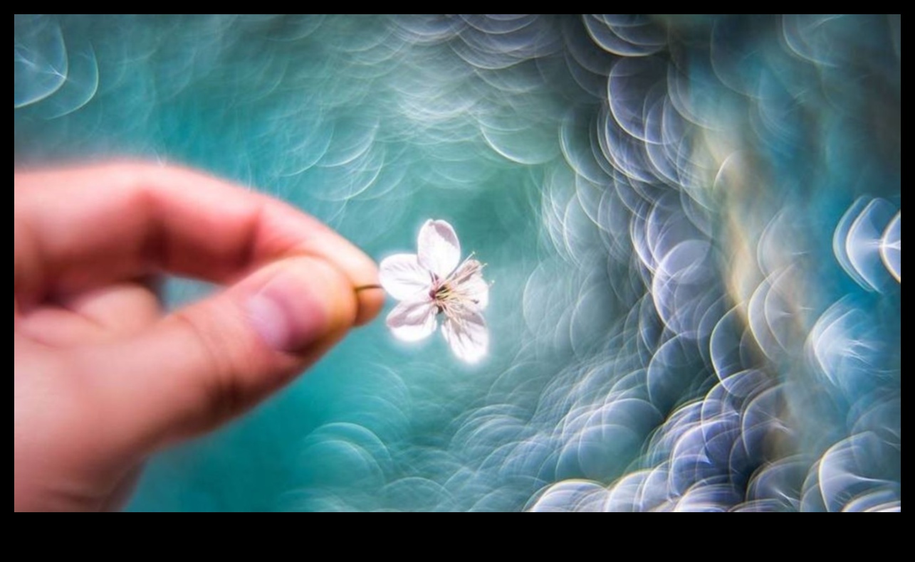 Μπόκε που κόβει την ανάσα: Κάμερες με όμορφο θάμπωμα φόντου