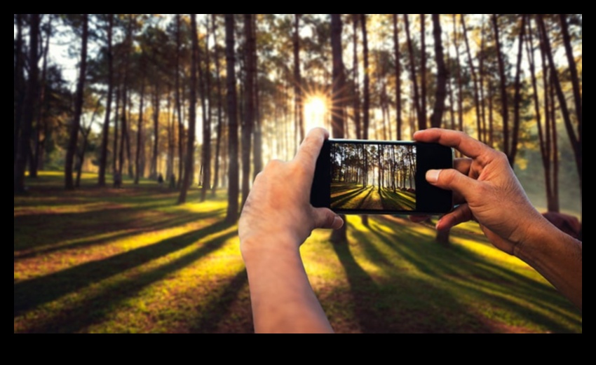 Capture Perfection: Βασικές συμβουλές φωτογραφίας που αποκαλύφθηκαν