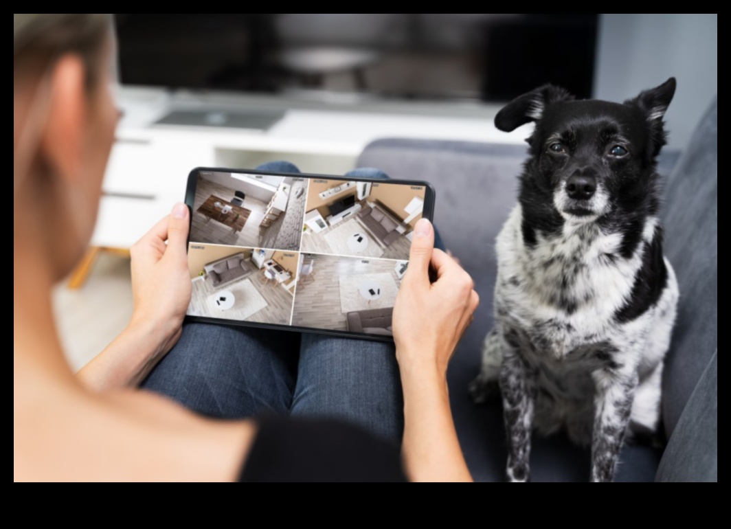 Digital Pet Care: Αξεσουάρ για τη διαχείριση κατοικίδιων ζώων με το τηλέφωνό σας